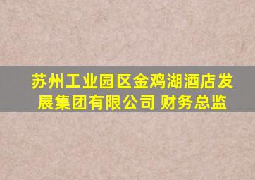 苏州工业园区金鸡湖酒店发展集团有限公司 财务总监